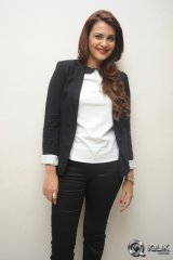 Nee Jathaga Nenundali Movie Platinum Disc Function